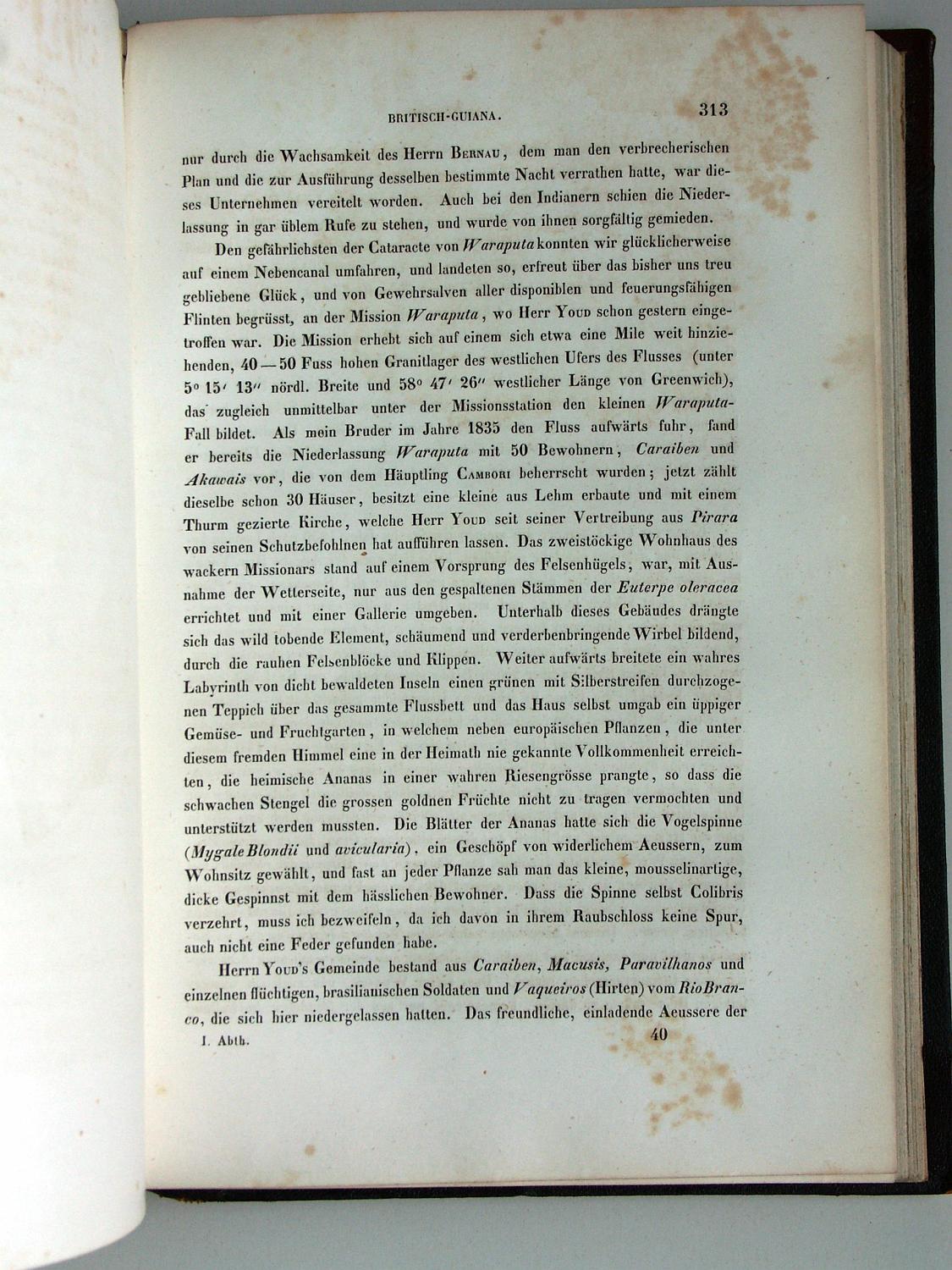 ZZ-RISC47,S.313 Mission Waraputa mit Kariben+Macushi+Paravilhano